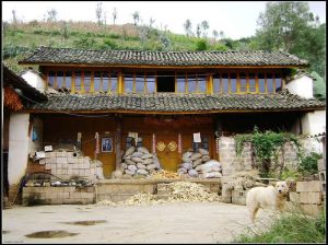 先鋒新村 先鋒新村