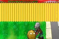 植物大戰殭屍引爆炸彈