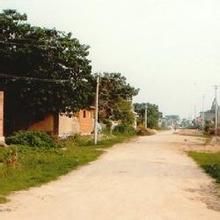 中趙格莊村 中趙格莊村