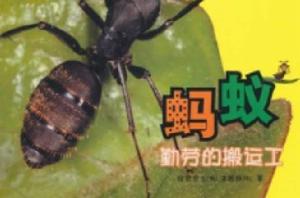 螞蟻:勤勞的搬運工 螞蟻:勤勞的搬運工