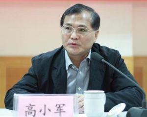 高小軍 高小軍