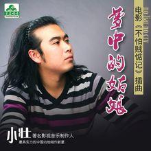 夢中的姑娘[馬小壯演唱的歌曲]