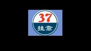 37掛靠網 37掛靠網