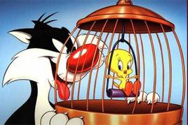 貓和小鳥拼圖 貓和小鳥拼圖