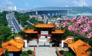 代書成[武漢市蔡甸區蔡甸街辦事處城建黨總支書記]