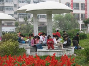 灌南縣實驗中學