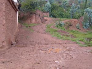 新聯下村 新聯下村