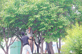 王戎不取道旁李