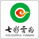 昆明七彩雲南實業股份有限公司 昆明七彩雲南實業股份有限公司