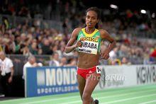 根澤貝&middot;迪巴巴