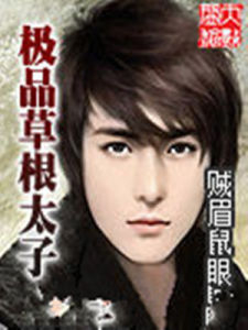 極品草根太子 極品草根太子