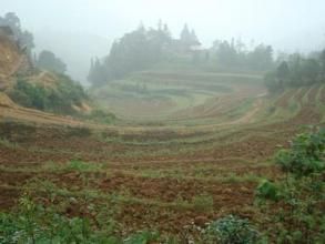 茅草坪自然村 茅草坪自然村