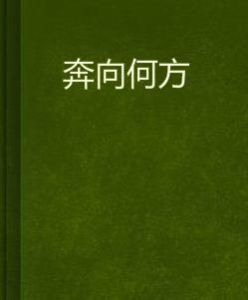 奔向何方 奔向何方