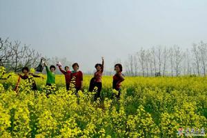 春天我們來了 春天我們來了