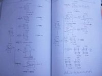 甘露糖與各種物質的反應總結