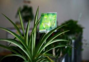 綠色對話 綠色對話