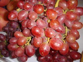 克瑞森葡萄 克瑞森葡萄