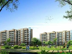 珍珠佳園 珍珠佳園