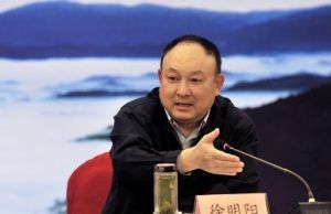 徐明陽[原中國通用技術（集團）控股有限責任公司副總經理]