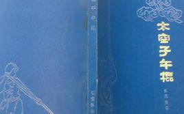 太空子午棍 太空子午棍