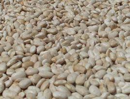 新村村[雲南南華縣五頂山鄉下轄村]