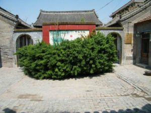 南淖泥溝村 南淖泥溝村