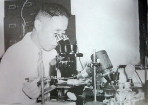 青蛙卵剝離手術 青蛙卵剝離手術