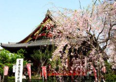 日本三町筋 日本三町筋