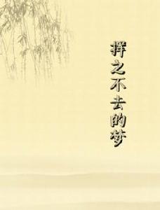 揮之不去的夢 揮之不去的夢