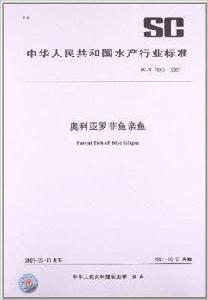 奧利亞羅非魚親魚