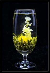 蘇州茉莉花茶 蘇州茉莉花茶