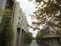 仙台白百合女子大學 仙台白百合女子大學