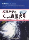 瞬息萬變的海洋災難