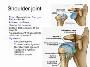關節運動 關節運動