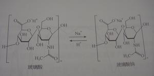 醫用透明質酸鈉凝膠 醫用透明質酸鈉凝膠