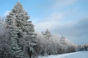 延邊仙峰國家森林公園 延邊仙峰國家森林公園