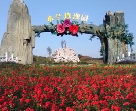 武漢木蘭玫瑰花園 武漢木蘭玫瑰花園