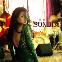 張盈[中國著名唱作爵士歌手、青年作曲家]