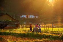 永寧鎮[廣東省陽春市永寧鎮]