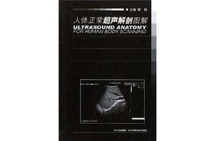 人體正常超聲解剖圖解 人體正常超聲解剖圖解