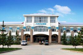 力諾集團股份有限公司 力諾集團股份有限公司