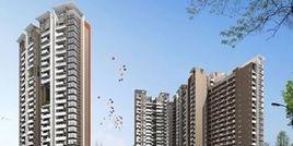 羅浮道城 羅浮道城