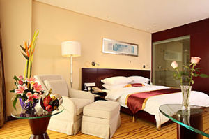 南京鼎業金陵國際酒店 南京鼎業金陵國際酒店