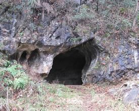 建始直立人遺址 建始直立人遺址