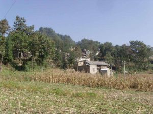 大水井自然村 大水井自然村