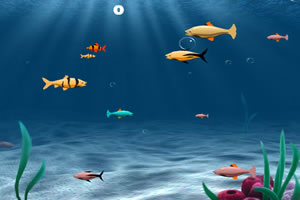 斑斕的小魚 斑斕的小魚