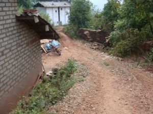 綠葉自然村 綠葉自然村