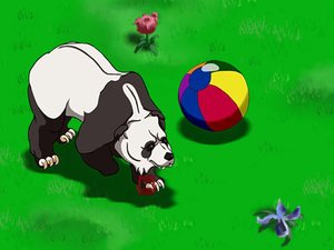 暴怒的熊貓 暴怒的熊貓