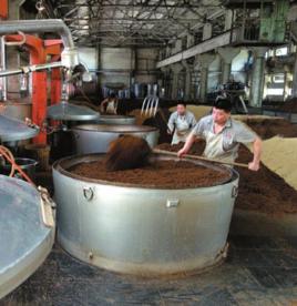 水井坊酒傳統釀造技藝 水井坊酒傳統釀造技藝