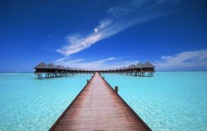 馬爾地夫柔沙島度假村 馬爾地夫柔沙島度假村